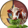 zhv