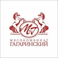 29-mk-gagarinskij