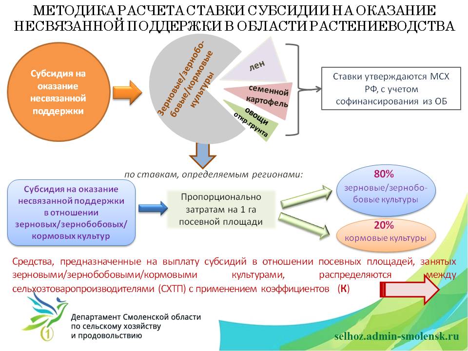 Предоставление субсидии частным дошкольным образовательным организациям