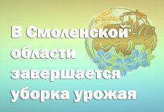 в Смоленской области завершается уборка урожая - фото - 1