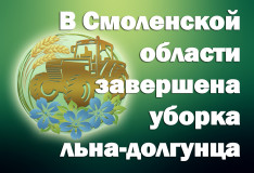 во всех муниципальных районах Смоленской области завершилась уборка льна-долгунца - фото - 1