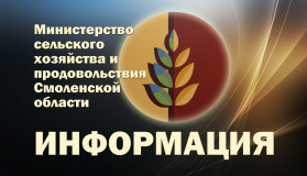 28 октября 2024 года прошло заседание Конкурсной комиссии Министерства сельского хозяйства Российской Федерации по проведению конкурса «Лучший по профессии» на звание «Лучший бухгалтер АПК» 2024 года - фото - 1