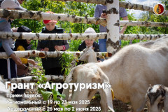 объявлен приём заявок на конкурсный отбор проектов развития сельского туризма на 2026 год - фото - 1
