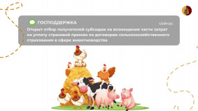 с 02 июня по 15 июня осуществляется отбор получателей субсидии на возмещение части затрат на уплату страховой премии, начисленной по договору сельскохозяйственного страхования в области животноводства - фото - 1