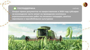 о начале приема документов для предоставления в 2025 году субсидии на возмещение части затрат на проведение комплекса агротехнологических работ на посевных площадях, занятых зерновыми и (или) зернобобовыми культурами (для средних и крупных предприятий) - фото - 1