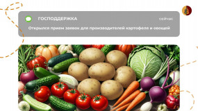 информационное сообщение о начале приема документов для предоставления в 2025 году субсидии на возмещение части затрат на стимулирование увеличения производства картофеля и овощей - фото - 1
