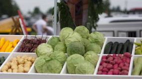 приглашаем на отраслевую сессию «Аграрные горизонты: экспортный вектор развития» - фото - 1