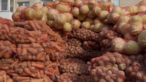 информационное сообщение о начале приема документов для предоставления в 2025 году субсидии на возмещение части затрат на стимулирование увеличения производства картофеля и овощей - фото - 1