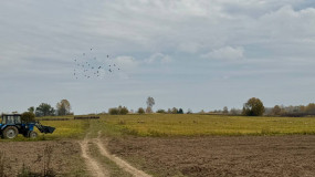 ооо «Ферма Гридино»: развитие ягодного хозяйства в Вяземском районе - фото - 5