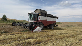 информационное сообщение о начале приема документов для предоставления в 2025 году субсидии на возмещение части затрат на проведение культуртехнических мероприятий на выбывших сельскохозяйственных угодьях, вовлекаемых в сельскохозяйственный оборот - фото - 1