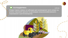 информационное сообщение о начале приема документов для предоставления в 2025 году субсидии на возмещение части затрат на уплату страховой премии по договорам сельскохозяйственного страхования в сфере растениеводства - фото - 1