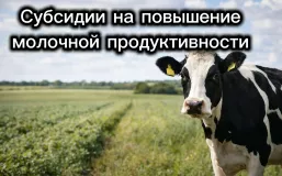 информационное сообщение о проведении отбора получателей на право получения субсидии на возмещение части затрат на повышение продуктивности в молочном скотоводстве в 2026 году - фото - 1