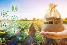 информационное сообщение о проведении отбора получателей на право получения субсидии на возмещение части затрат на уплату страховой премии, начисленной по договору сельскохозяйственного страхования в сферах растениеводства и животноводства в 2026 году - фото - 1