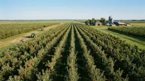 информационное сообщение о проведении ОТБОРА получателей на право получения субсидии на возмещение части затрат на закладку и (или) уход за многолетними насаждениями (в отношении площади уходных работ за многолетними насаждениями, включая питомники) - фото - 1