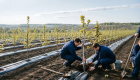 информационное сообщение о проведении ОТБОРА получателей на право получения субсидии на возмещение части затрат на закладку и (или) уход за многолетними насаждениями (в отношении площади закладки питомников) в 2026 году - фото - 1