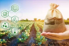 информационное сообщение о проведении отбора получателей на право получения субсидии на возмещение части затрат на уплату страховой премии, начисленной по договору сельскохозяйственного страхования в сфере растениеводства - фото - 1